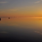 _DSC0106