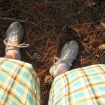 IMG_0955.jpg
