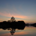 DSC_5174.jpg